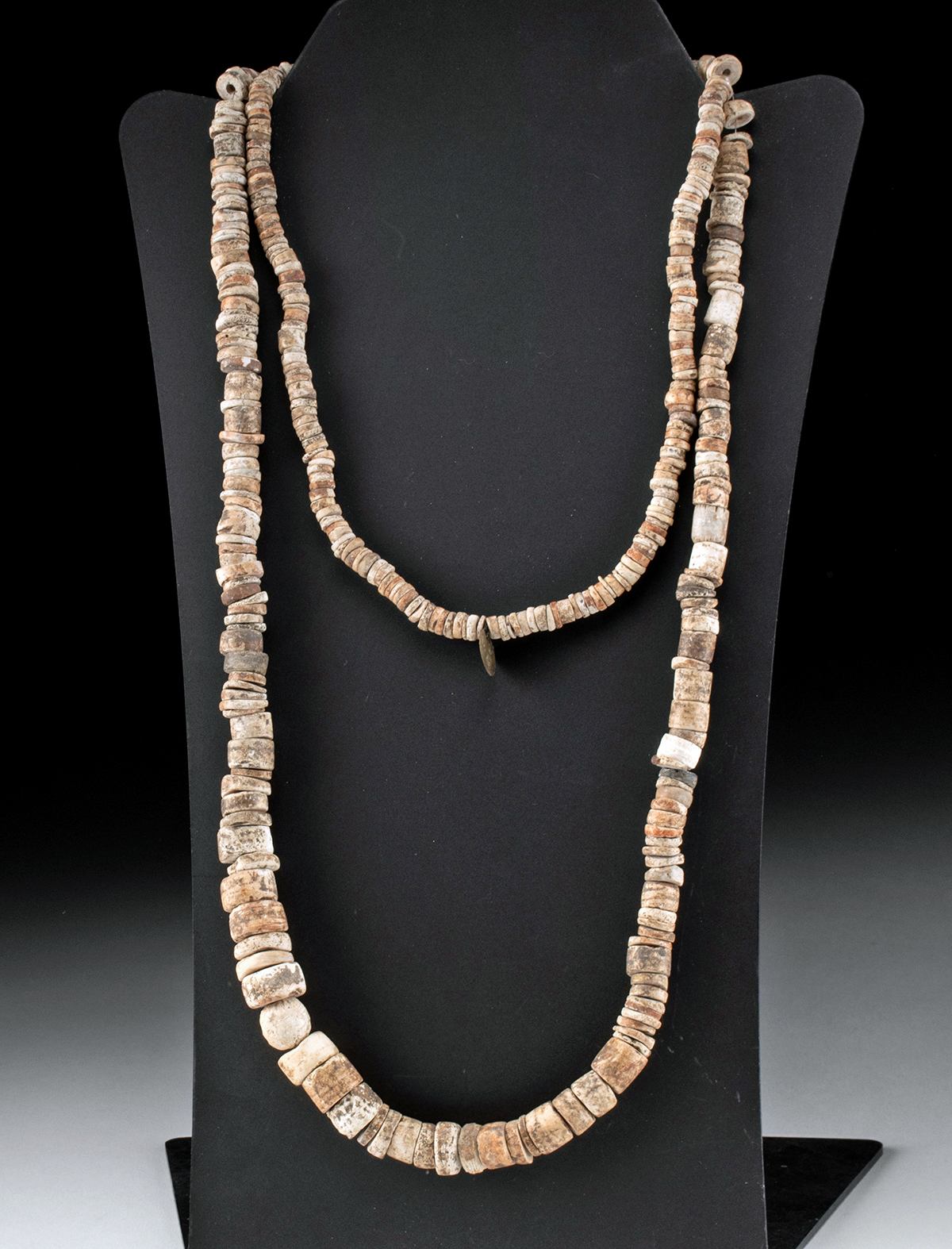 Robert Rosetta, Santo Domingo Pueblo, Natural Shell Necklace