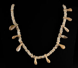 Lot 258, Auction 3/19/2026: Native American Shell & Marine Mammal Tooth Necklace