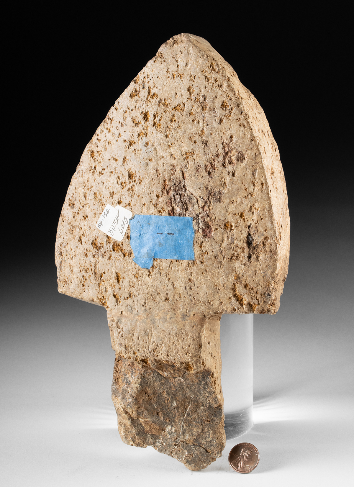 Lot 280, Auction 3/19/2026: Ancient African Niger Bura Ancestral Stone Head Effigy - Image 3