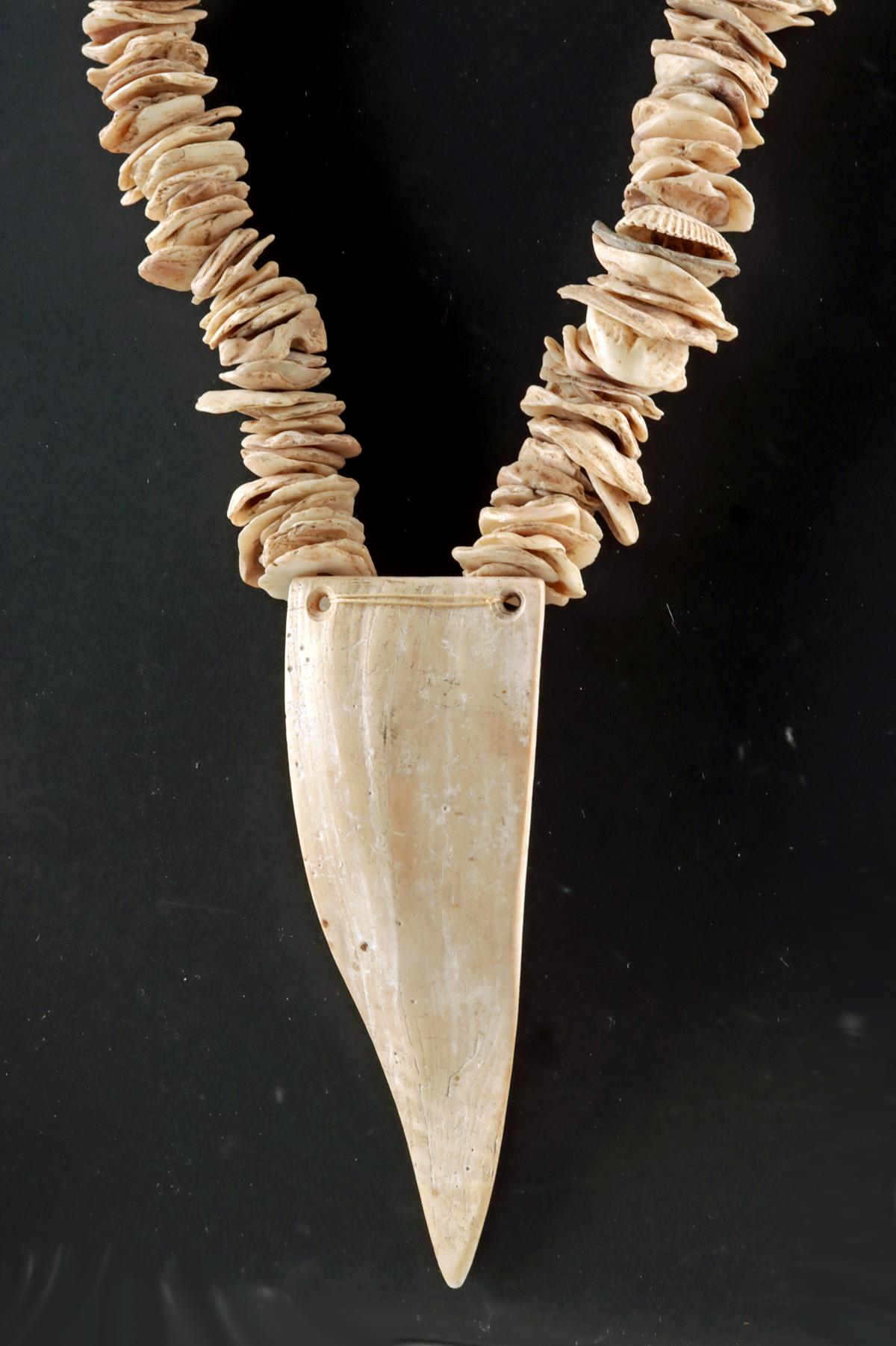 Lot 247, Auction 3/19/2026: Native American Mississippian Period Shell Necklace