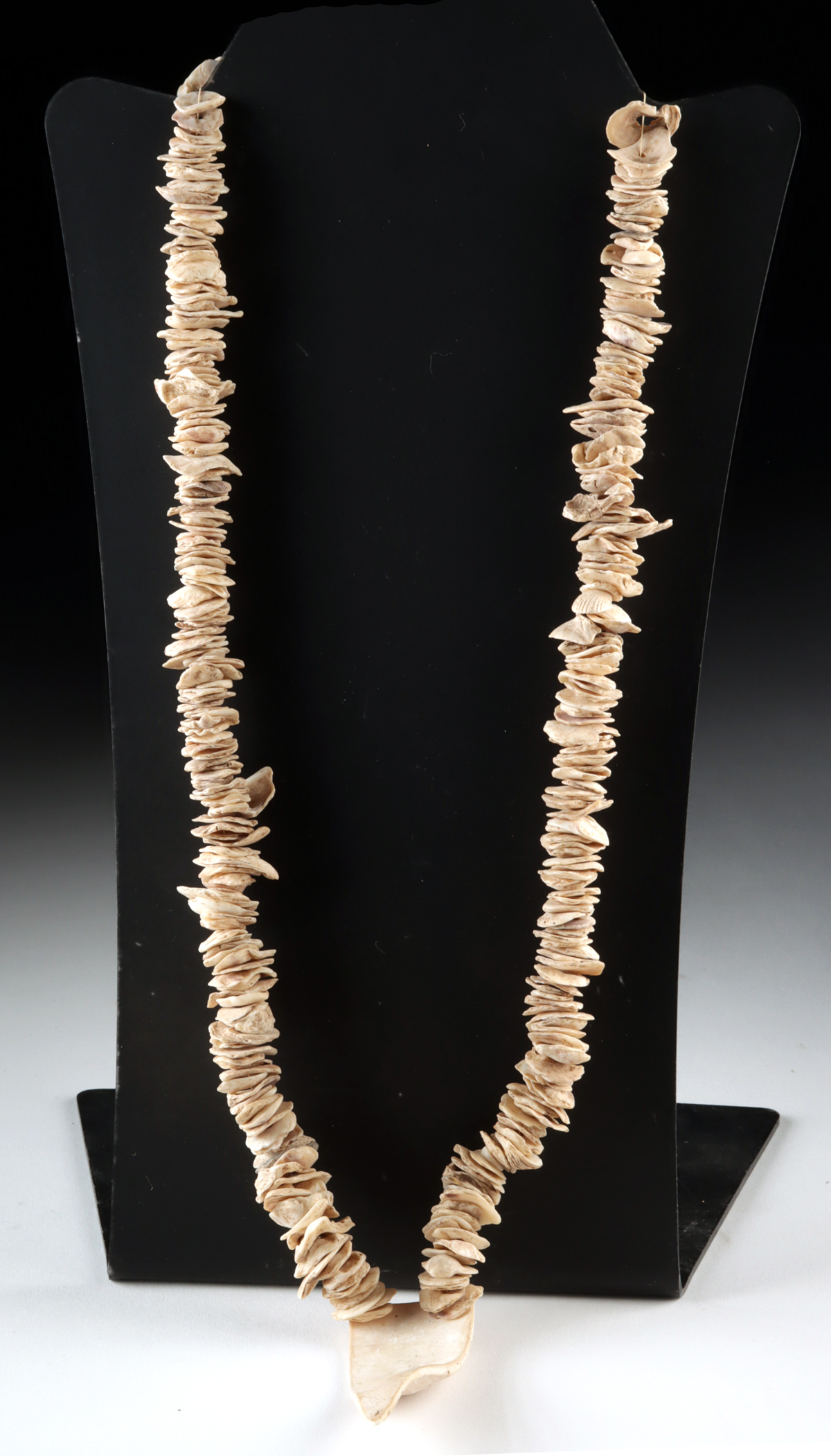 Lot 247, Auction 3/19/2026: Native American Mississippian Period Shell Necklace - Image 3