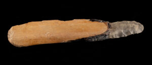 Lot 257, Auction 3/19/2026: Native American Hafted Stone Knife with Bison Bone Grip