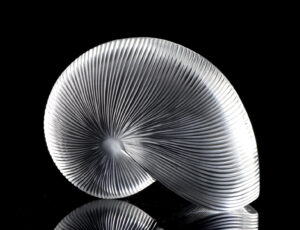 Lot 346, Auction 3/19/2026: French Baccarat Crystal Nautilus Shell Sculpture