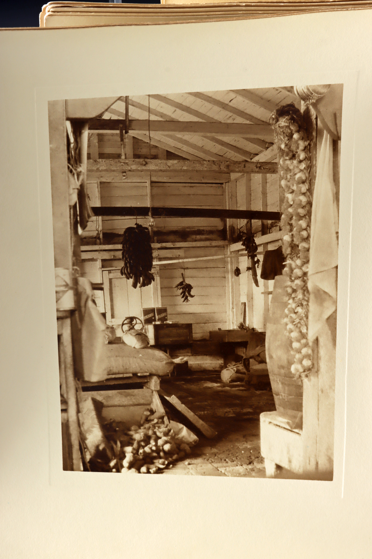 Lot 200, Auction 4/3/2026: 1960 Fidel Castro & 1930s Photo Prints of Cuba - Image 4