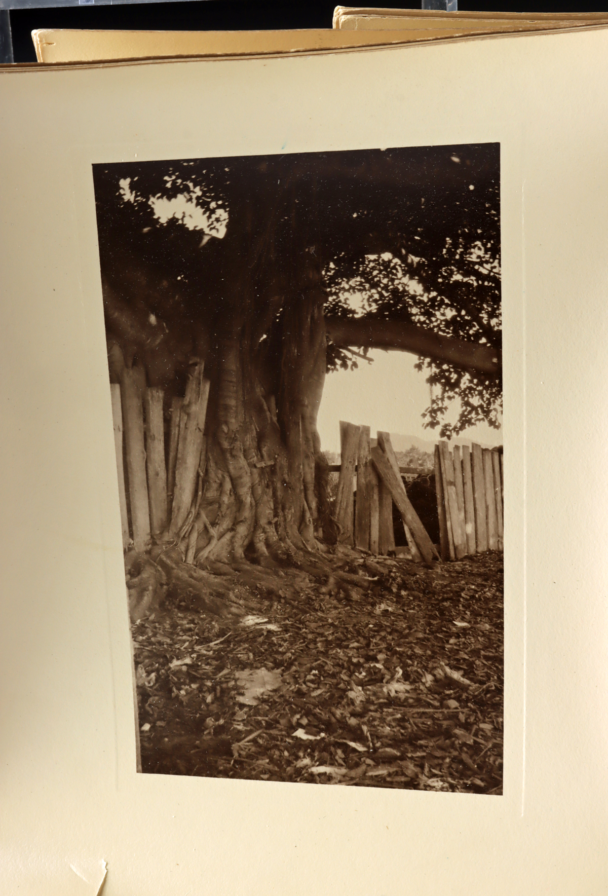 Lot 200, Auction 4/3/2026: 1960 Fidel Castro & 1930s Photo Prints of Cuba - Image 5