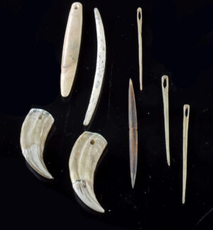 Lot 118, Auction 4/3/2026: Melanesia Bone Nose Ornaments, Needles & Teeth