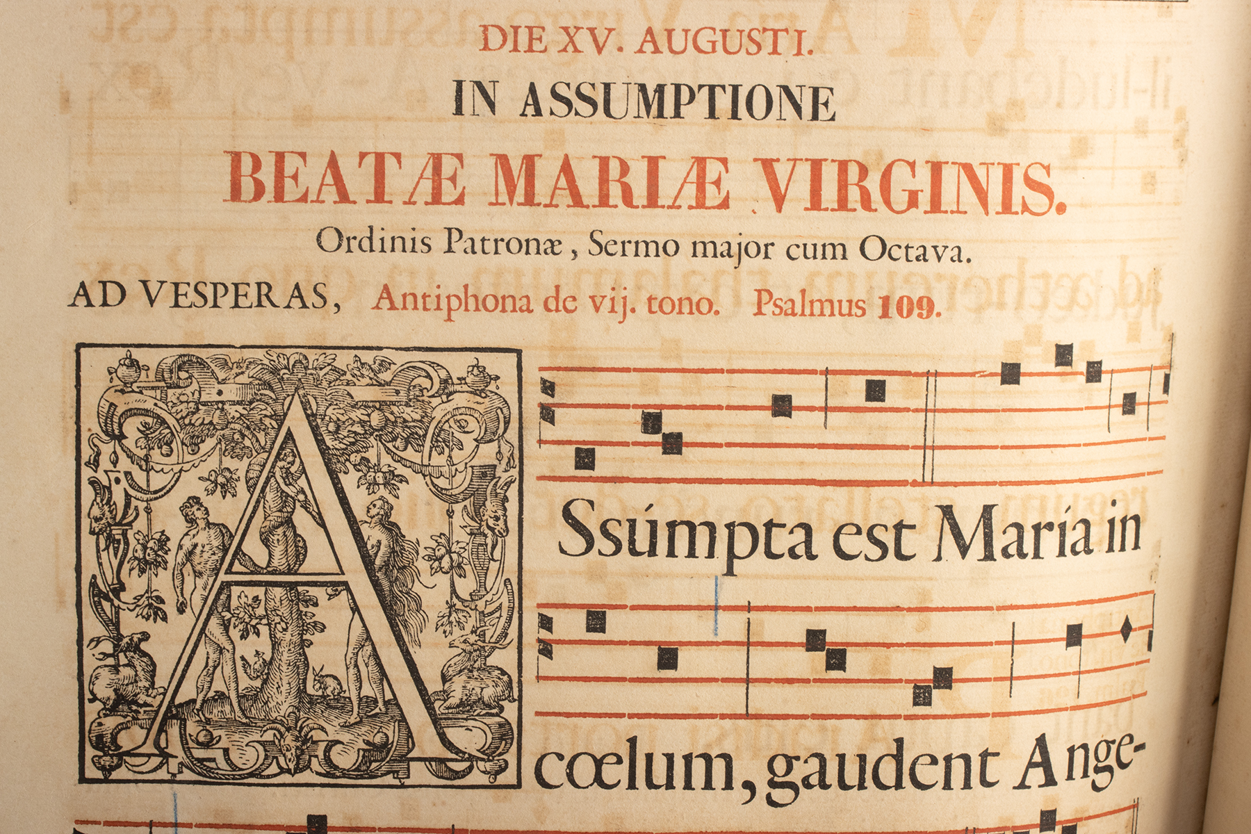 Lot 231, Auction 4/3/2026: Massive 1858 Belgian Cistercian Antiphonary - Westmalle - Image 7