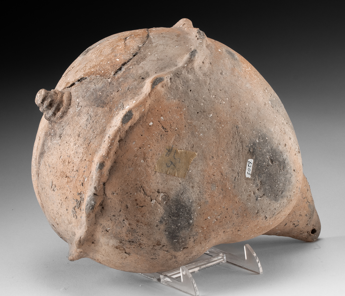 Lot 32, Auction 4/12/2026: Mississippian Pottery Whelk Shell Effigy Basin - Image 4