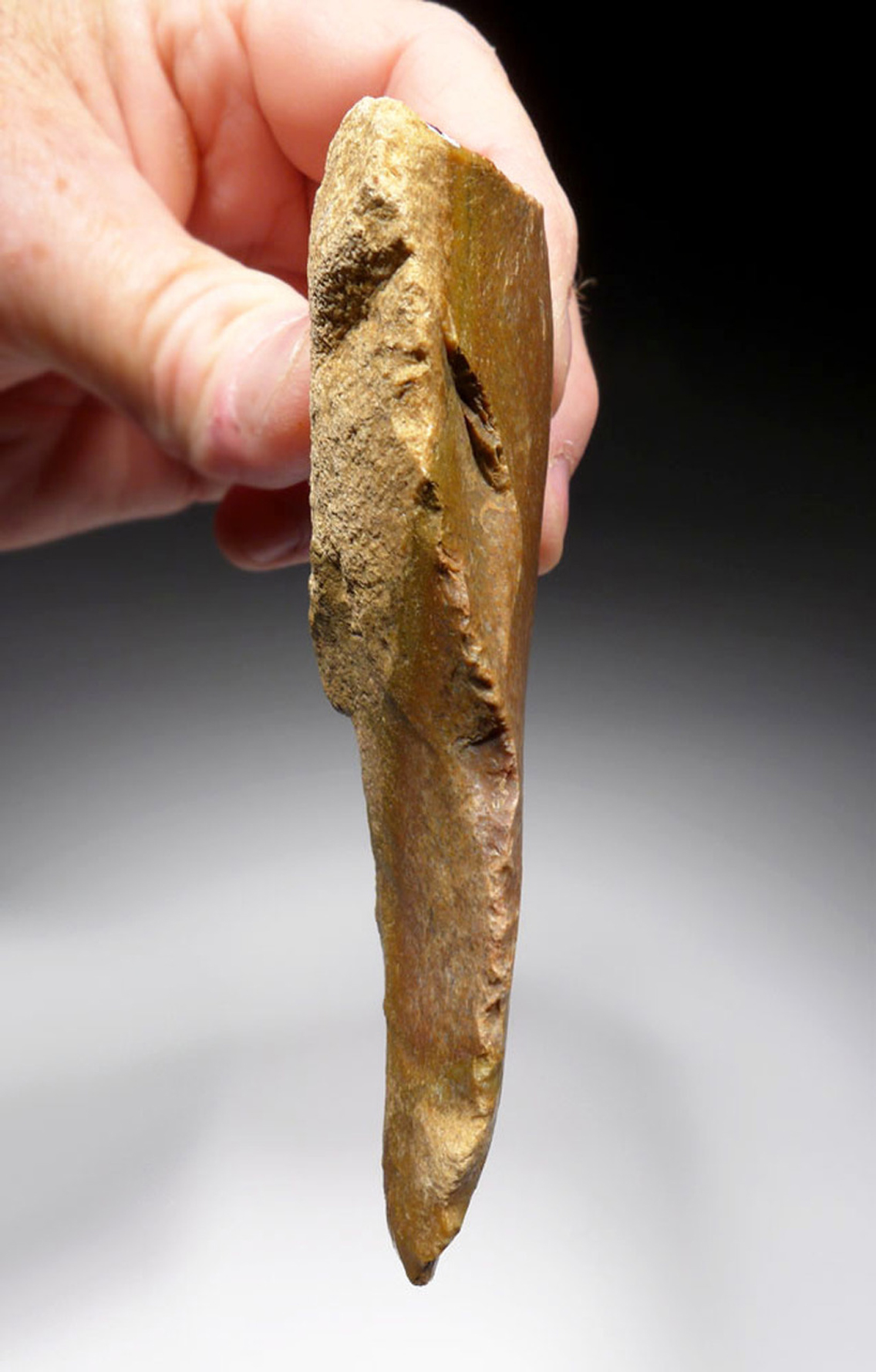 Lot 146a, Auction 4/3/2026: Mousterian Neanderthal Jasper Hand Axe Fontmaure France - Image 4