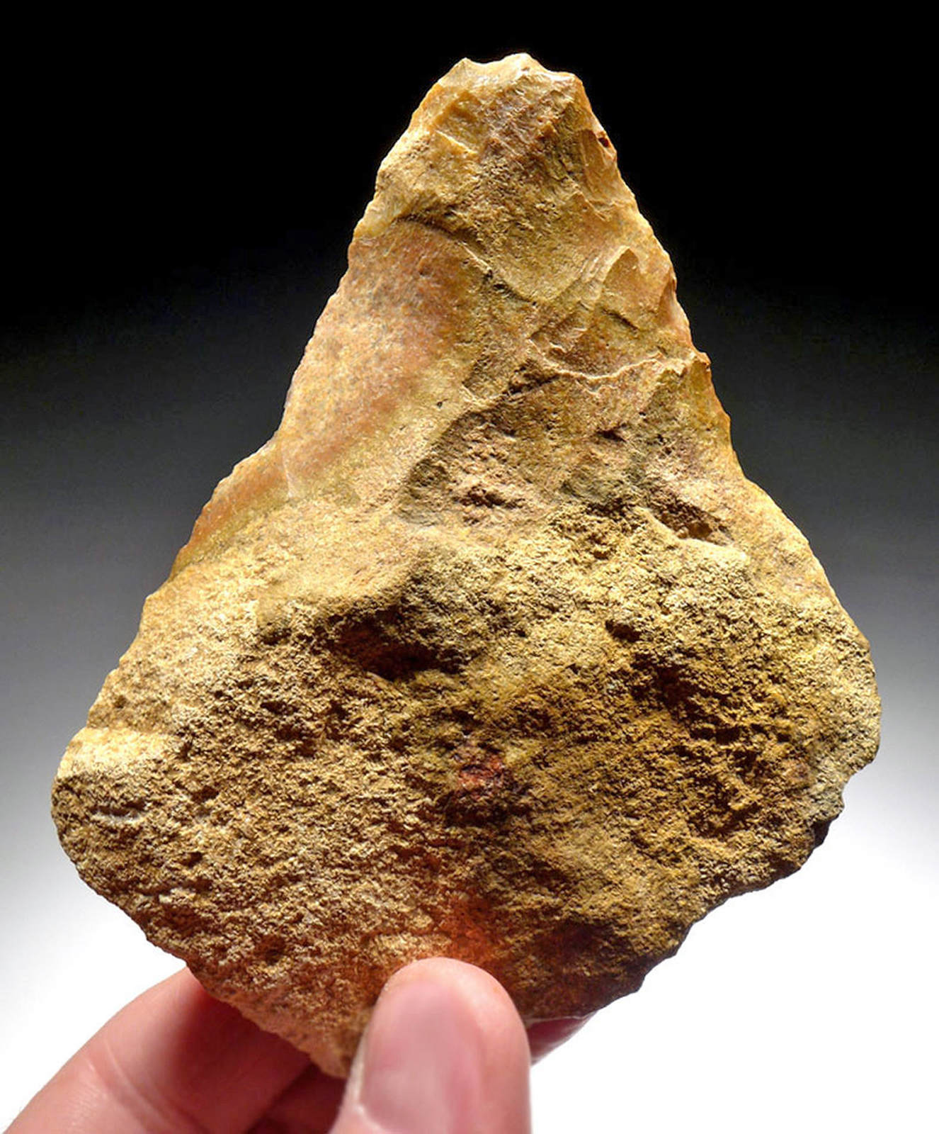 Lot 146a, Auction 4/3/2026: Mousterian Neanderthal Jasper Hand Axe Fontmaure France - Image 7