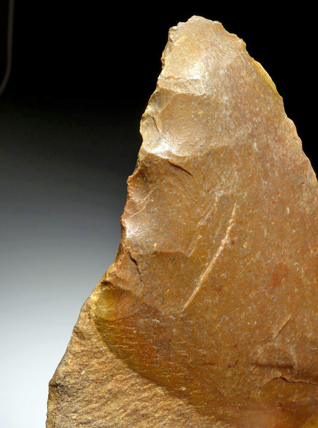Lot 146a, Auction 4/3/2026: Mousterian Neanderthal Jasper Hand Axe Fontmaure France - Image 8