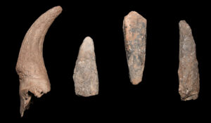 Lot 18, Auction 4/12/2026: Fossilized Bison Horn Core & Three Dinosaur Bones