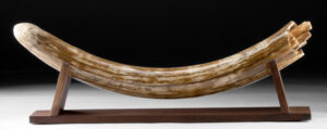 Lot 116a, Auction 4/20/2026: Fossilized Mammoth Tusk on Wood Base