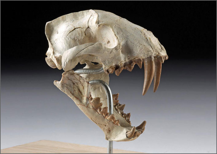 home_offer_2026.04.10