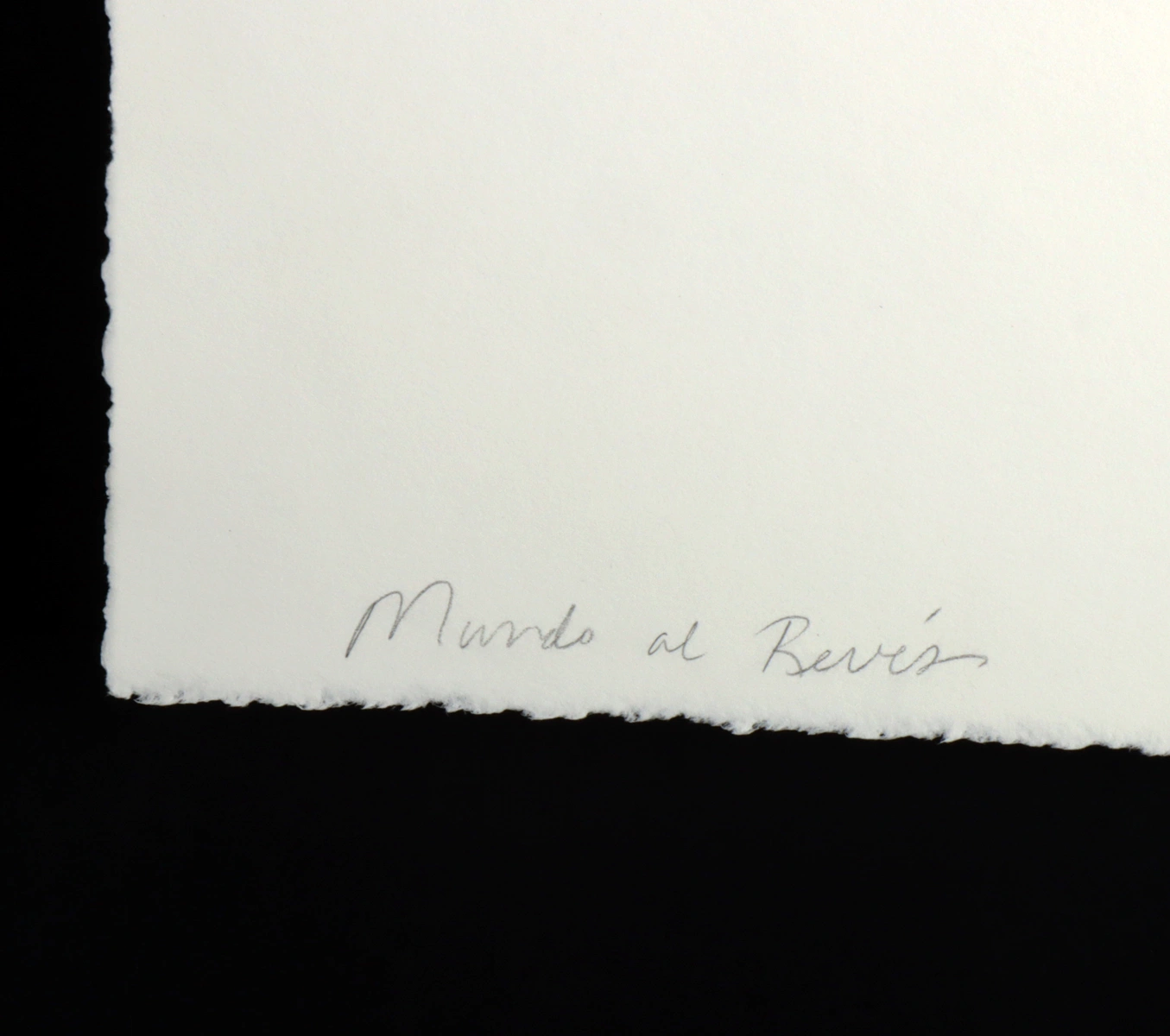 Teresa Villegas Printer's Proof "Mundo al Reves" 2010 (Auction 2026-06-05, Lot 25A) - Image 3