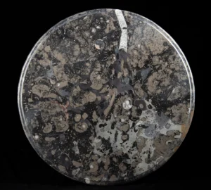 Polished  Stone Tabletop - Ammonite Shell Fossils (Auction 2026-06-05, Lot 142)
