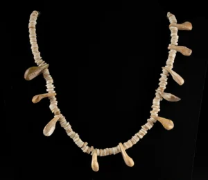 Native American Shell & Marine Mammal Tooth Necklace (Auction 2026-06-05, Lot 111)