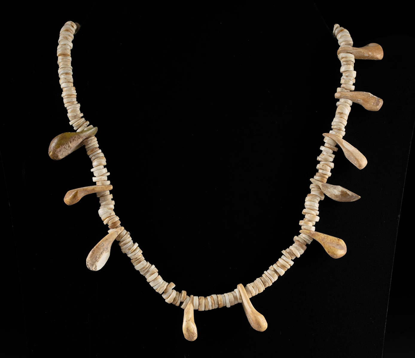 Native American Shell & Marine Mammal Tooth Necklace (Auction 2026-06-05, Lot 111)