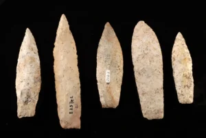 Five Large Prehistoric Paleo-Indian Chert Stone Points (Auction 2026-06-05, Lot 105A)