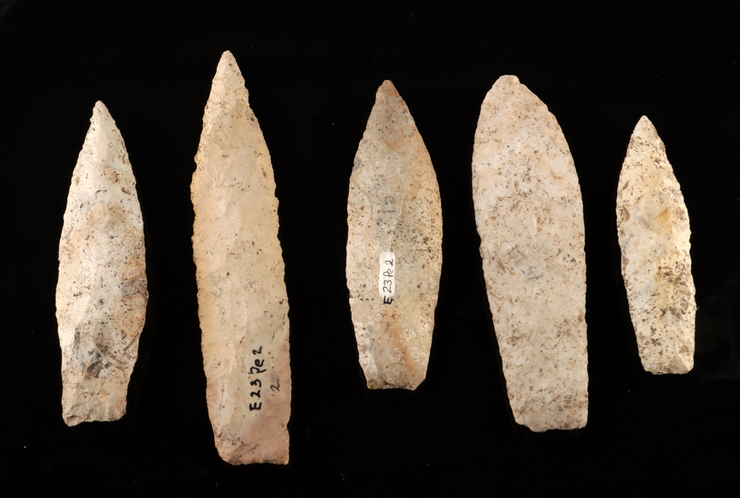 Five Large Prehistoric Paleo-Indian Chert Stone Points (Auction 2026-06-05, Lot 105A)