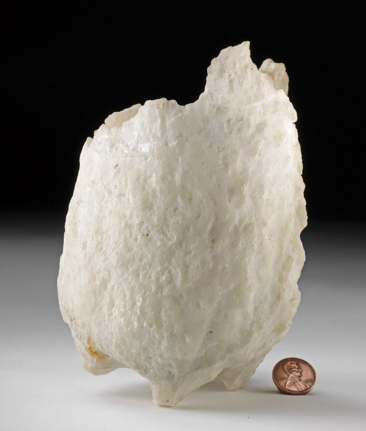 Maya Gypsum Effigy Vessel with Zoomorphic Head (Auction 2026-06-05, Lot 60) - Image 4