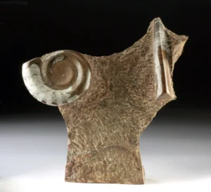 Sculptural Orthoceras & Ammonite Fossils (Auction 2026-06-05, Lot 137)