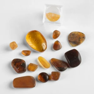 Baltic Amber Group of Fifteen Pieces with Insect Inclusions (Auction 2026-06-05, Lot 147)
