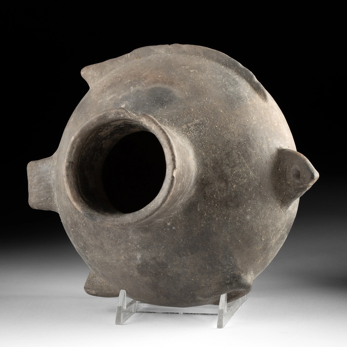 Mississippian Blackware Flatfish Effigy Bottle (Auction 2026-06-05, Lot 102) - Image 4