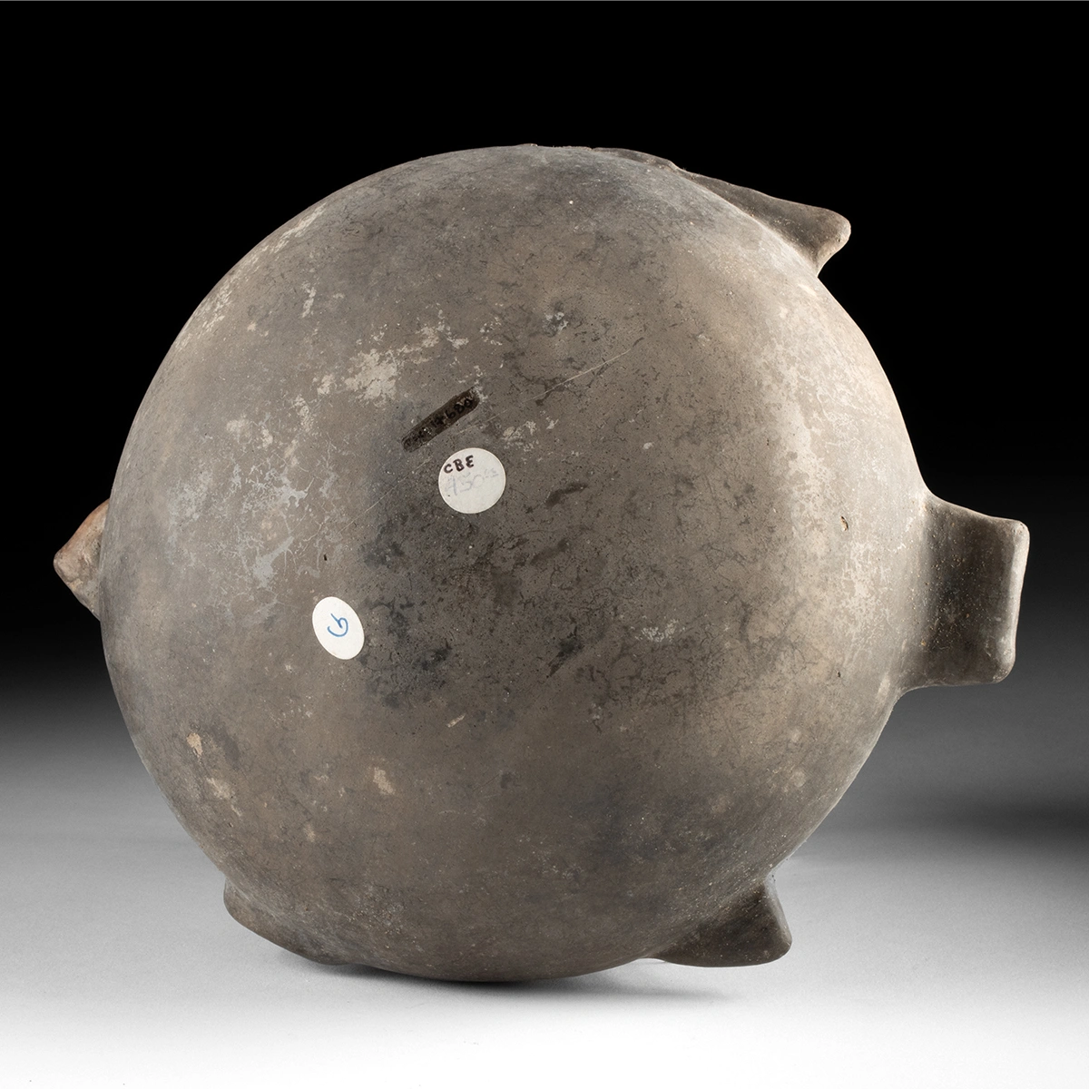 Mississippian Blackware Flatfish Effigy Bottle (Auction 2026-06-05, Lot 102) - Image 5