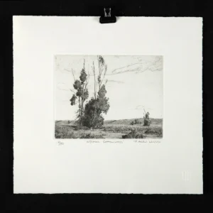 Tim Allen Lawson Print "Wyoming Cottonwoods" (Auction 2026-06-05, Lot 24H)