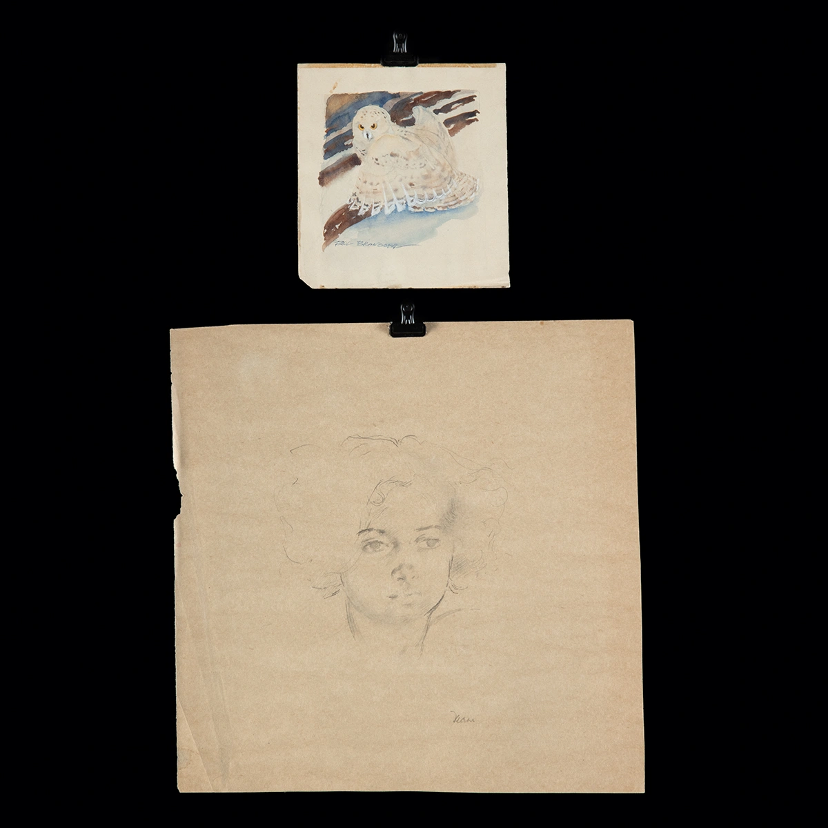 20th C. American Works on Paper - Bransom Snowy Owl Watercolor & Deane Portrait (Auction 2026-06-05, Lot 24I)